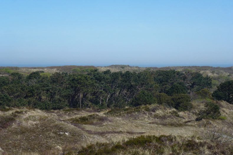 Nordseeinsel Spiekeroog
